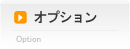 オプション