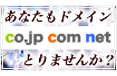 バーチャルドメイン